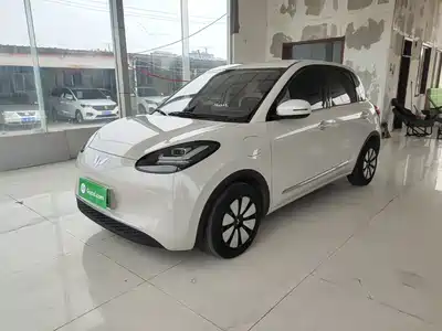 Wuling Motors Bingo 2024