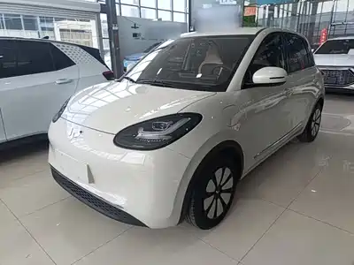 Wuling Motors Bingo 2024