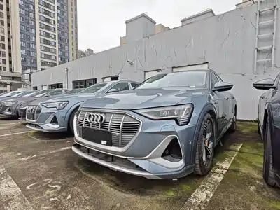 Audi Audi e-tron 2021
