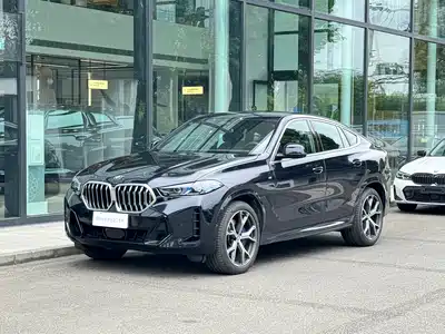 BMW BMW X6 2023