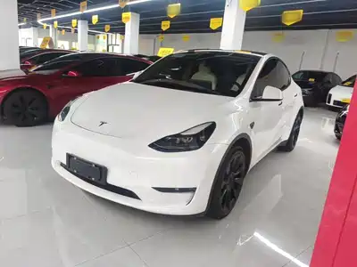 Tesla Model Y 2021