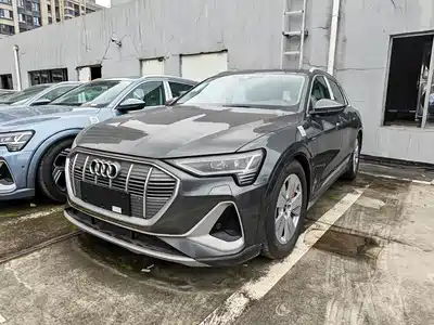 Audi Audi e-tron 2021