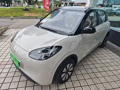 Wuling Motors Wuling Bingo 2025