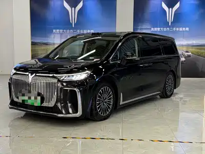 Voyah Auto Voyah Dreamer 2025
