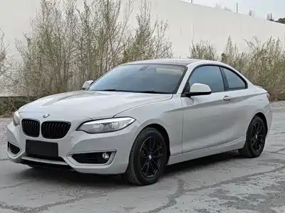 BMW 2 Series (Import) 2015