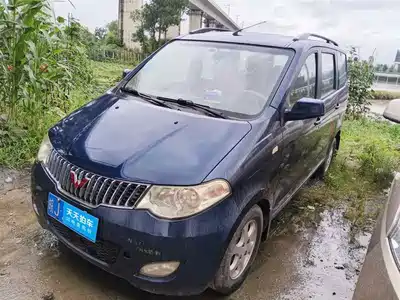 Wuling Motors Hongguang 2013