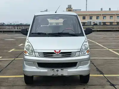 Wuling Motors Rongguang 2020