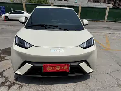 BYD Seagull 2024