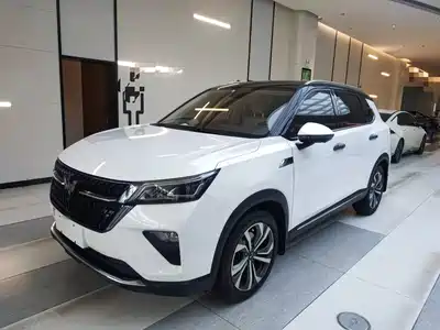 Wuling Motors Xingchen 2021