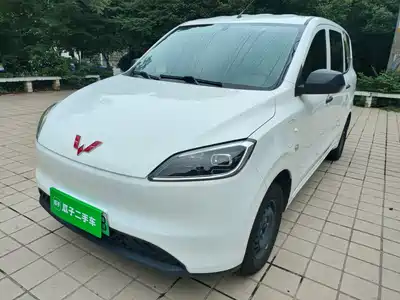 Wuling Motors Hongguang New Energy 2025