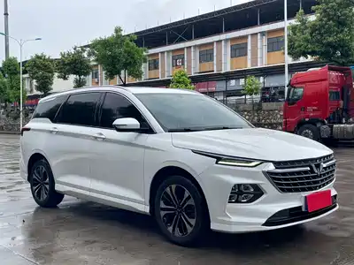 Wuling Motors Wuling Victory 2020