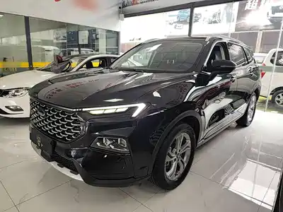 Ford Lingrui 2022