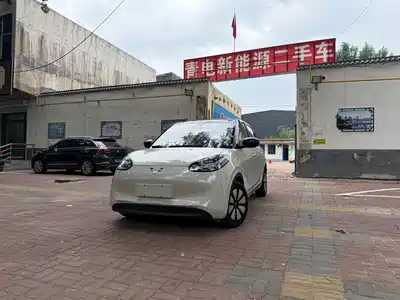 Wuling Motors Bingo 2024