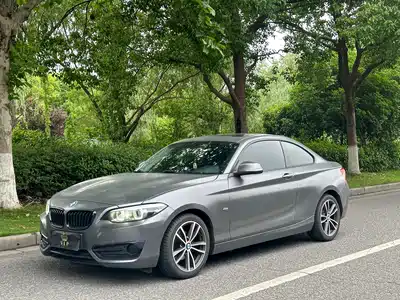 BMW 2 Series (Import) 2017