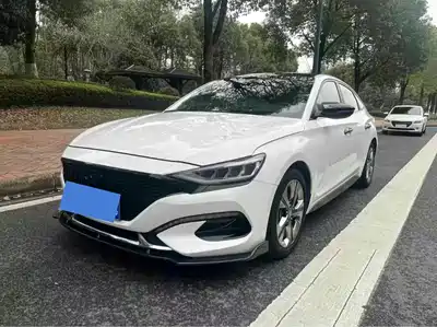 Hyundai Fista 2018