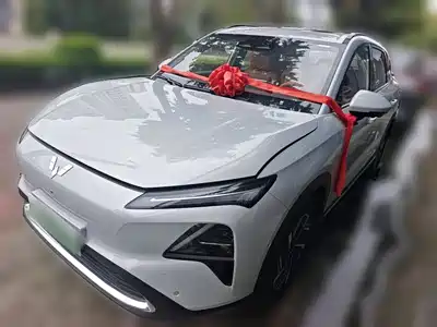 Wuling Motors Xingguang S 2025