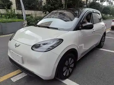 Wuling Motors Wuling Bingo 2023