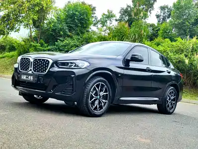 BMW BMW X4 2021