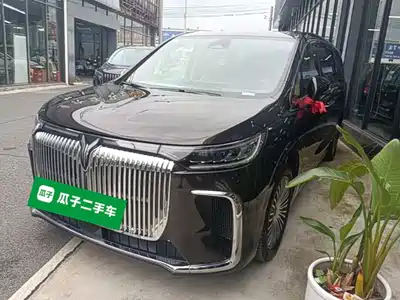 Voyah Auto Dreamer 2024