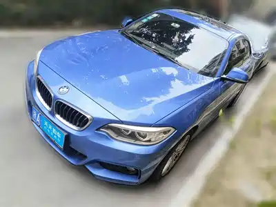 BMW BMW 2 Series (Import) 2014