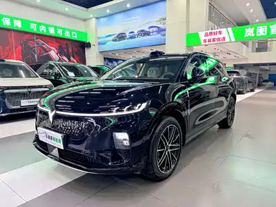 Voyah Auto Voyah Zhiyin 2025
