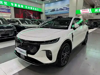 Voyah Auto Voyah Zhiyin 2025