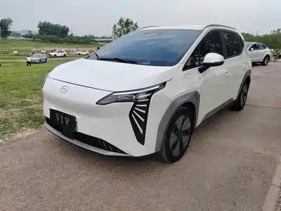 Aion Y 2024
