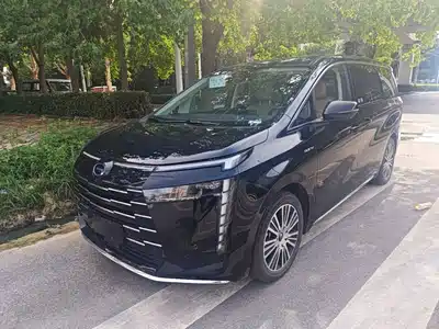 GAC Trumpchi E8 NEV 2024