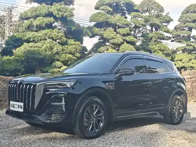 Hongqi Hongqi HS5 2024