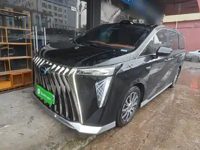 GAC Trumpchi Trumpchi Xiangwang M8 2025