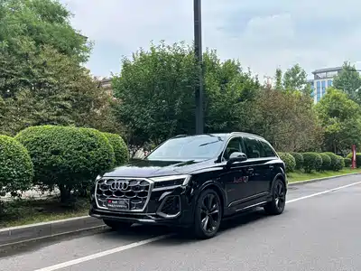 Audi Audi Q7 2024
