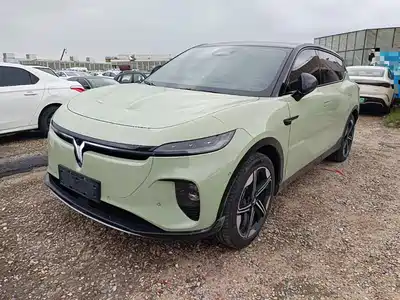 Voyah Auto Voyah Zhiyin 2024