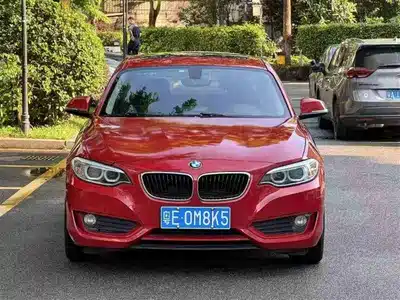 BMW 2 Series (Import) 2015