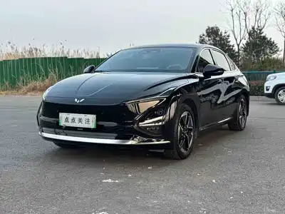 Wuling Motors Wuling Xingguang 2025