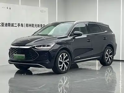 BYD Tang New Energy 2025