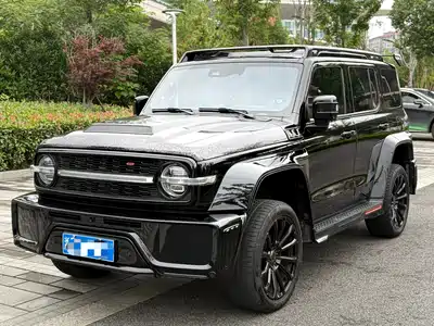 Crossboundary Auto Co-created Tank 300 2023