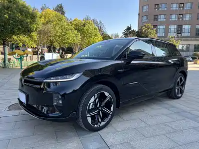 Voyah Auto Voyah Zhiyin 2024