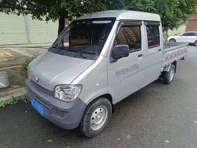 Wuling Motors Wuling Zhiguang Mini Truck 2020