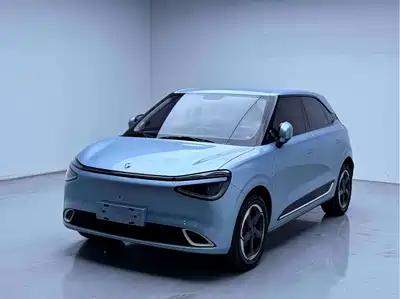 Dongfeng Yipai Nano 01 2024