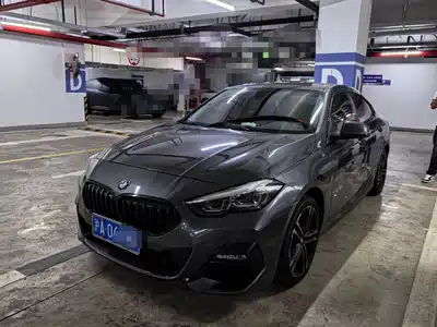 BMW 2 Series (Import) 2021