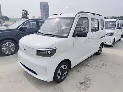 Wuling Motors Zhiguang NEV 2025