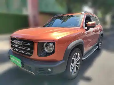 Haval Big Dog 2021