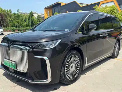 Voyah Auto Dreamer 2024