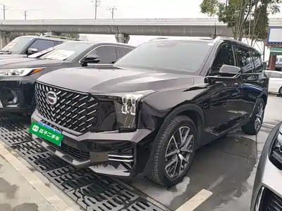 GAC Trumpchi GS8 2021