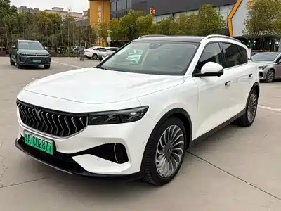 Voyah Auto FREE 2021