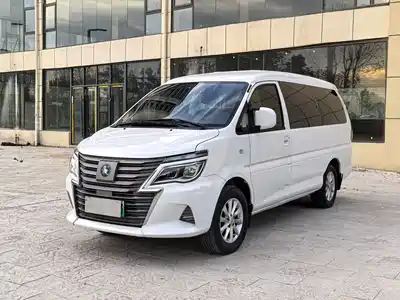 Dongfeng Fengxing Lingzhi New Energy 2022