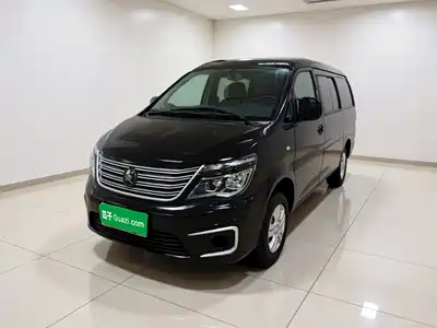Dongfeng Fengxing Lingzhi 2021