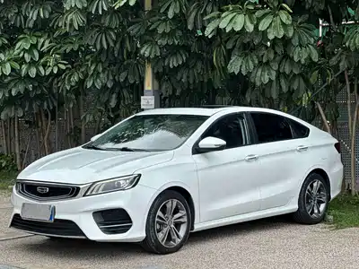 Geely Binrui 2019