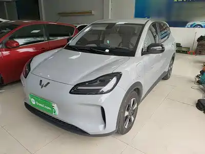 Wuling Motors Binguo PLUS 2024
