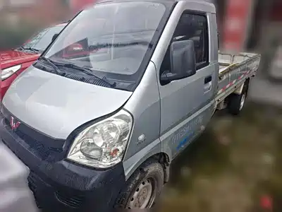 Wuling Motors Rongguang Mini Truck 2015